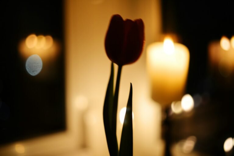 a single red tulip in a vase with candles in the background
